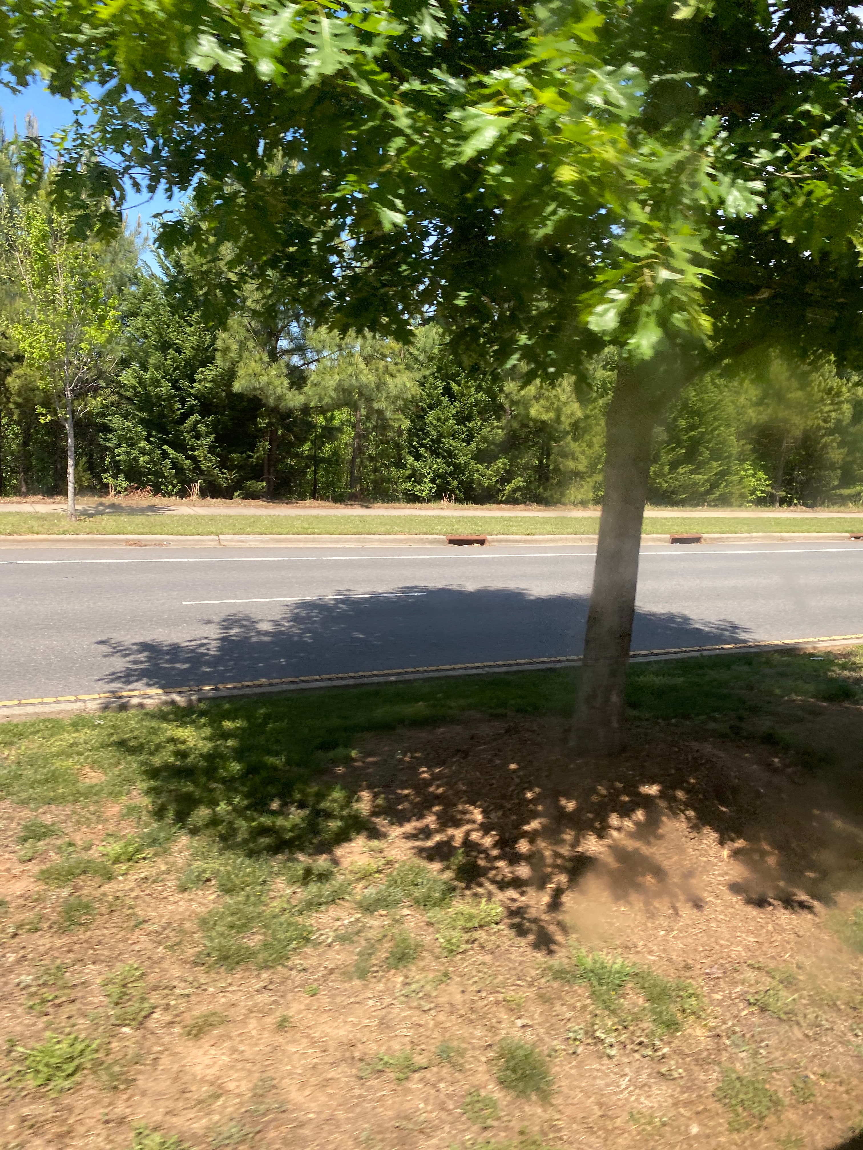 Ray-Casting Shooter cover image